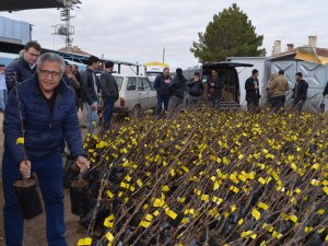 Ilgın'da çiftçilere 5 bin fidan dağıtıldı