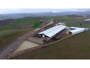 Gübre maliyetini ’sıfır’ladı