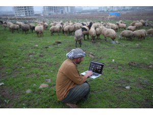 AA'nın "Yılın Fotoğrafları" oylaması