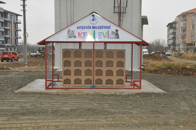 Akşehir'de "Kedi evi" projesi