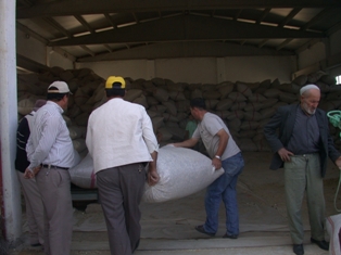 Haşhaş kabuğu alımları sürüyor