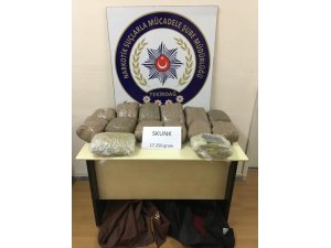 Şüpheli bavullardan 17 kilogram skunk çıktı