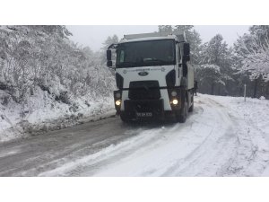 Aydın'da kar yağışı