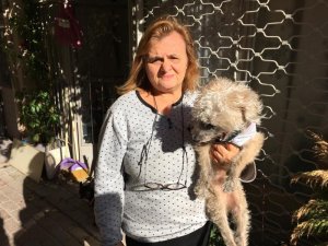 Hayvanseverden hırsıza çağrı: "Köpeğimi getirsin şikayetimi çekip ödül vereceğim"