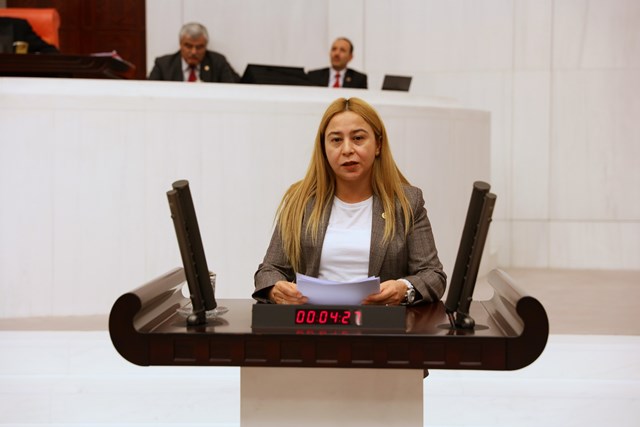 Milletvekili Esin Kara’dan, mali müşavirlere ara buluculuk talebi