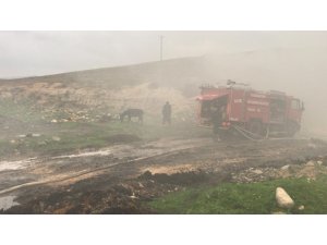 Eşeğin peşinden giden koyunlar yangında telef oldu