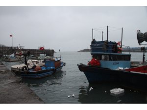 "Karadeniz'de sürdürülebilir balıkçılık ve koruma alanları şart"