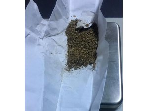 Uyuşturucu satıcısı öğrenci tutuklandı