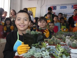 Sınıfı seraya çevirip kaktüs ektiler