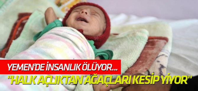 "Halk açlıktan ağaçları kesip yiyor"