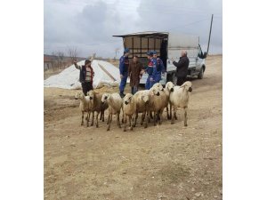 Yozgat’ta küçükbaş hayvan hırsızları tutuklandı
