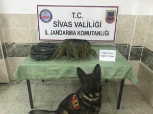 Uyuşturucu taciri Geçim’i geçemedi