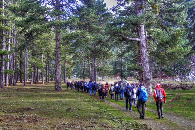 Doğa tutkunları Beyşehir'de buluştu