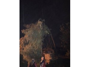 Kaş’ta hortum seralara zarar verdi