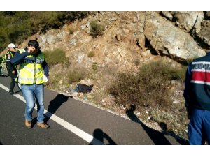 Yayayı çarpıp kaçan şahıs tutuklandı