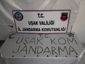 Uşak’ta 532 adet sikke ele geçirildi