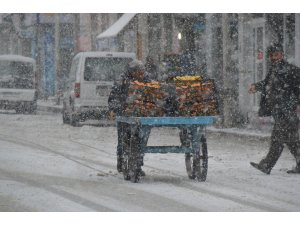 Doğu Anadolu'da kış