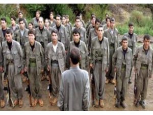 Çarpık ilişkiler örgütü PKK