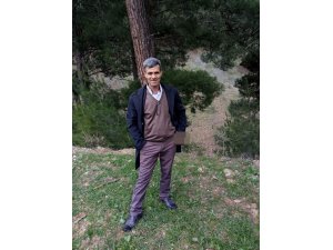 Ormandan topladığı mantarı yiyen vatandaş yaşam savaşı veriyor