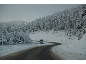 Doğu Anadolu'da kış