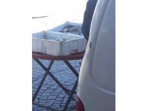 Konya'da yasa dışı balık avına ceza