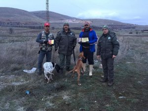 Afyonkarahisar’da kacak avcılıkla mücadele çalışmaları