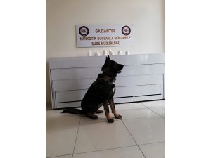 Uyuşturucu operasyonu