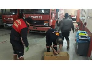Kar yağışında mahsur kalan yavru köpeği itfaiye kurtardı