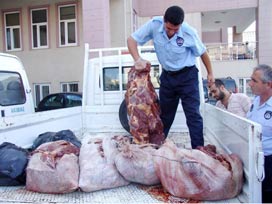 Adana'da 200 kilo eşek eti ele geçirildi