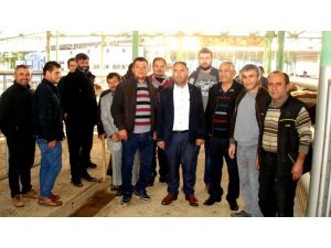 Sarıgöl’de 21 Genç çiftçiye 105 düve dağıtıldı