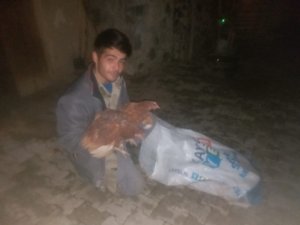 Çuvala doldurduğu tavukları ölüme terk etti