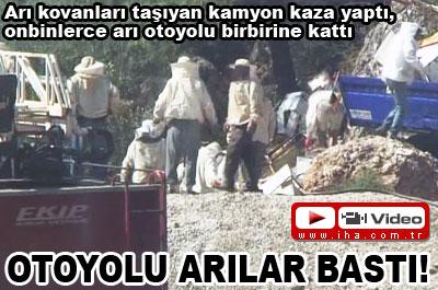 Otoyolu arılar bastı!
