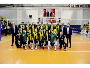Voleybol: Efeler Ligi