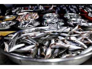 Karadeniz’de ucuz hamside sona geliniyor