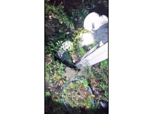 Kuyuya düşen köpeği itfaiye kurtardı