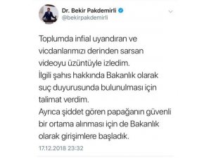Bakan Pakdemirli’den papağana işkence videosuna ilişkin açıklama