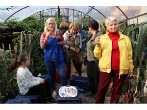 Pitaya bahçesi servet kazandırıyor