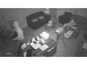 Okul faresi iş yerlerine girerken kameralara yakalandı