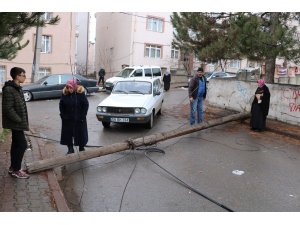 Çürüyen telefon direği sokağa devrildi