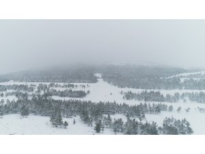 Doğuda kar hem çile hem güzellik getirdi