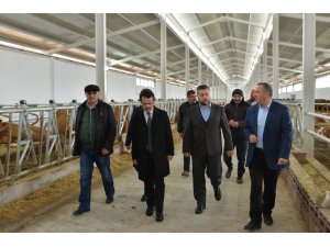 Nevşehir'den kısa kısa