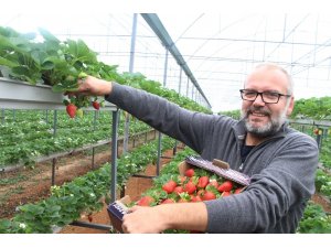 Serasından toprağı çıkardı, gelirini 5’e katladı