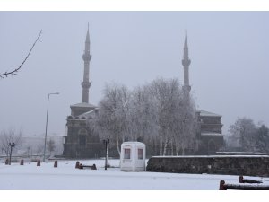 Kars ve Ardahan'da yoğun sis