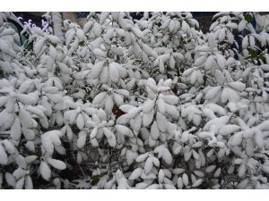 Kar; kazaları da beraberinde getirdi