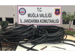 Kabloları keserken suçüstü yakalandılar