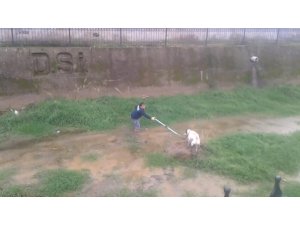 Dereye düşen köpek kurtarıldı