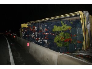 Tonlarca domates ve sebze yola saçıldı