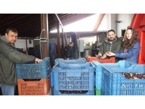 Portakallı zeytinyağı ilgi görüyor