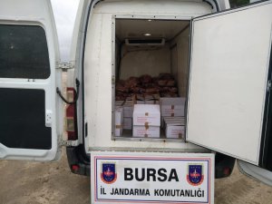 Bursa’da 1 ton kaçak kesim et ele geçirildi
