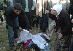 Kuş avlar gibi vurulan KÜRT KIZI Ceylan